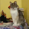 Отзыв от Варвара Сальникова
